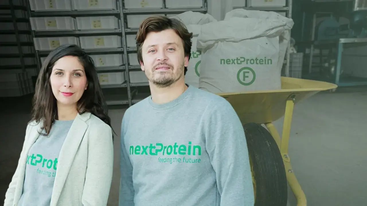 How nextProtein’s €18M Series B Is Building Africa’s Largest Insect Protein Plant