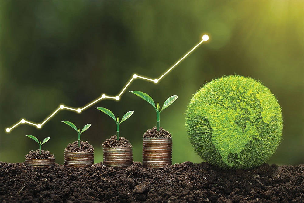 Green Finance in Kenya: Loans, Bonds & Funds for Climate-Friendly Projects