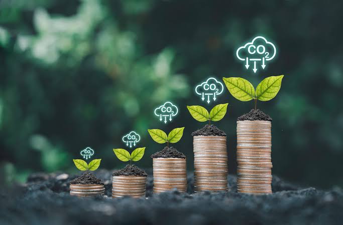 Explaining Carbon Pricing and What It Could Mean for African Economies