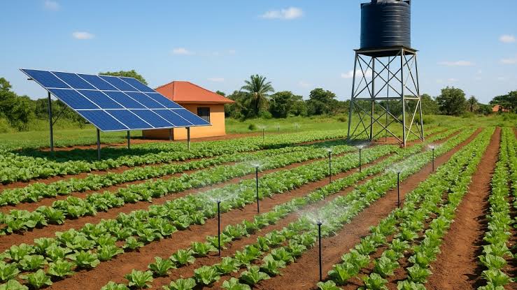 How Nordic Impact Funds and DOB Equity Are Backing Irrisol’s Solar-Powered Water Expansion in Uganda